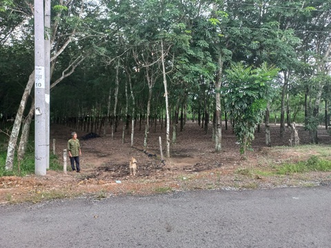 Mở đường cho hàng xóm đi nhờ, bị thu hồi luôn sổ đỏ, dân kiện UBND huyện - Ảnh 1. Mở đường cho hàng xóm đi nhờ, bị thu hồi luôn sổ đỏ, dân kiện UBND huyện - Ảnh 1.