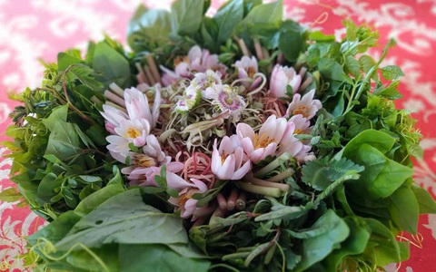 Về rừng ăn lẩu mắm U Minh - Ảnh 3. Về rừng ăn lẩu mắm U Minh - Ảnh 3.