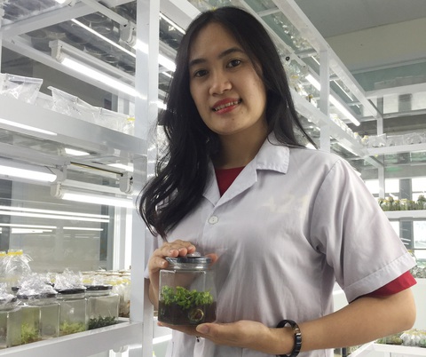 Nữ sinh viên chế tạo nước thảo dược - Ảnh 1. Nữ sinh viên chế tạo nước thảo dược - Ảnh 1.