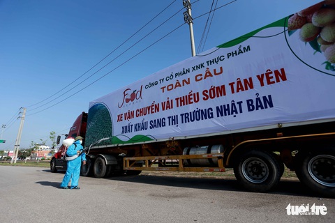 20 tấn vải thiều Bắc Giang lên đường sang Nhật - Ảnh 5. 20 tấn vải thiều Bắc Giang lên đường sang Nhật - Ảnh 5.