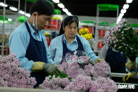 Xây dựng trung tâm giao dịch hoa Đà Lạt - Ảnh 1. Xây dựng trung tâm giao dịch hoa Đà Lạt - Ảnh 1.