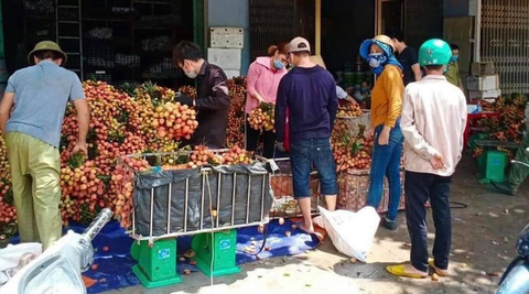 Vải thiều Lục Ngạn - Bắc Giang bị ép giá còn 2.000 đồng/kg? - Ảnh 1. Vải thiều Lục Ngạn - Bắc Giang bị ép giá còn 2.000 đồng/kg? - Ảnh 1.