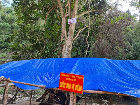 Phá rừng phòng hộ làm đường thi công thủy điện - Ảnh 4. Phá rừng phòng hộ làm đường thi công thủy điện - Ảnh 4.