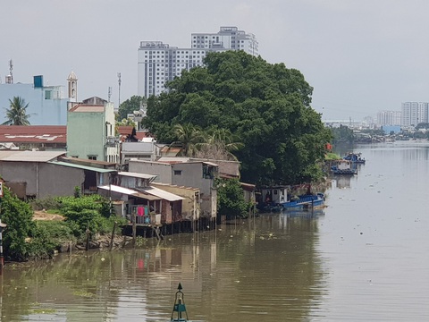 Bị trúng thuốc mê, khỉ đuôi dài chạy mất tăm rồi lại tiếp tục trộm vặt ở quận 8 - Ảnh 4. Bị trúng thuốc mê, khỉ đuôi dài chạy mất tăm rồi lại tiếp tục trộm vặt ở quận 8 - Ảnh 4.
