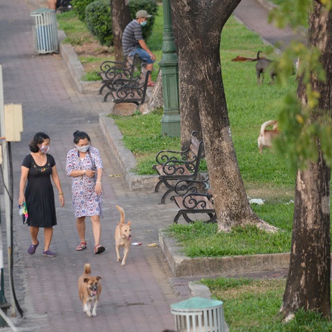 Né miệng chó dữ - Ảnh 1. Né miệng chó dữ - Ảnh 1.