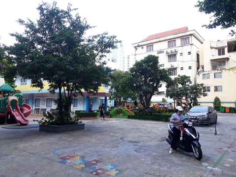 Tranh thủ nghỉ lễ khám bệnh cây xanh - Ảnh 1. Tranh thủ nghỉ lễ khám bệnh cây xanh - Ảnh 1.