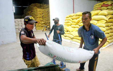 Gạo ST24, ST25 bị đăng ký nhãn hiệu ở Úc, Việt Nam triển khai biện pháp khẩn cấp - Ảnh 1. Gạo ST24, ST25 bị đăng ký nhãn hiệu ở Úc, Việt Nam triển khai biện pháp khẩn cấp - Ảnh 1.
