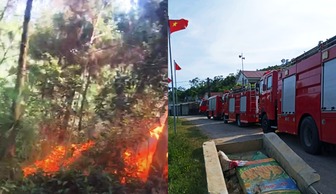 Cả trăm người đang dập lửa cứu rừng thông cháy trong nắng nóng - Ảnh 2. Cả trăm người đang dập lửa cứu rừng thông cháy trong nắng nóng - Ảnh 2.