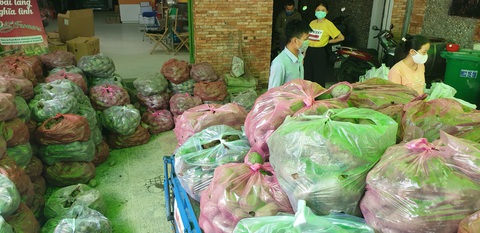 Khoai lang Vĩnh Long kêu gọi giải cứu vì không xuất được sang Trung Quốc - Ảnh 4. Khoai lang Vĩnh Long kêu gọi giải cứu vì không xuất được sang Trung Quốc - Ảnh 4.