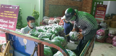 Khoai lang Vĩnh Long kêu gọi giải cứu vì không xuất được sang Trung Quốc - Ảnh 2. Khoai lang Vĩnh Long kêu gọi giải cứu vì không xuất được sang Trung Quốc - Ảnh 2.