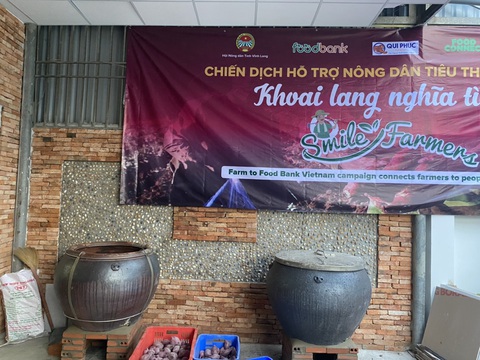 Khoai lang Vĩnh Long kêu gọi giải cứu vì không xuất được sang Trung Quốc - Ảnh 6. Khoai lang Vĩnh Long kêu gọi giải cứu vì không xuất được sang Trung Quốc - Ảnh 6.
