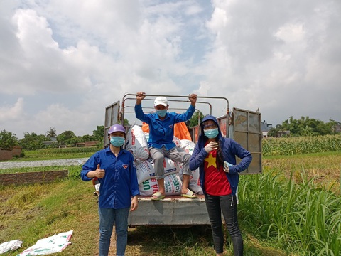 Áo xanh gặt lúa giúp dân vùng tâm dịch Bắc Giang - Ảnh 4. Áo xanh gặt lúa giúp dân vùng tâm dịch Bắc Giang - Ảnh 4.