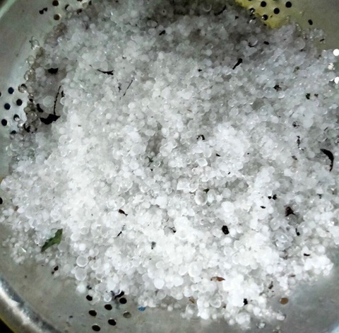 Nhiều vườn sâm Ngọc Linh tơi tả trong mưa đá gần 2 tiếng - Ảnh 4. Nhiều vườn sâm Ngọc Linh tơi tả trong mưa đá gần 2 tiếng - Ảnh 4.