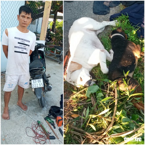 Bắt nghi phạm chuyên dùng súng điện bắn trộm chó của người dân - Ảnh 1. Bắt nghi phạm chuyên dùng súng điện bắn trộm chó của người dân - Ảnh 1.