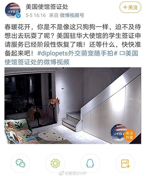 Đại sứ quán Mỹ xin lỗi việc đăng bài trên Weibo ví sinh viên Trung Quốc như chó - Ảnh 2. Đại sứ quán Mỹ xin lỗi việc đăng bài trên Weibo ví sinh viên Trung Quốc như chó - Ảnh 2.