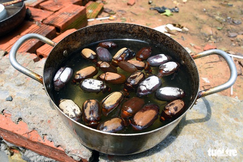 Bọ to hơn hột mít ăn trụi vườn cây ăn trái tại Bình Phước - Ảnh 10. Bọ to hơn hột mít ăn trụi vườn cây ăn trái tại Bình Phước - Ảnh 10.