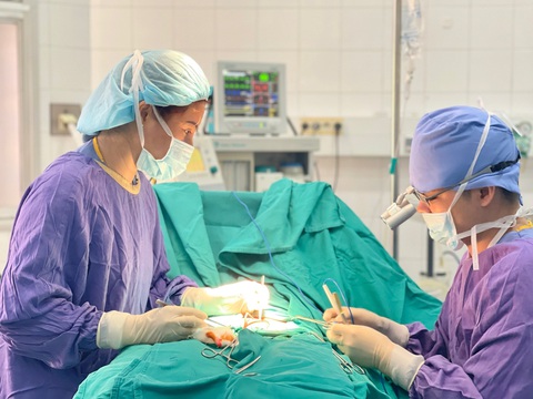 Bé trai 6 tuổi bị chó cắn vào dương vật phải điều trị 12 ngày mới khỏi - Ảnh 1. Bé trai 6 tuổi bị chó cắn vào dương vật phải điều trị 12 ngày mới khỏi - Ảnh 1.