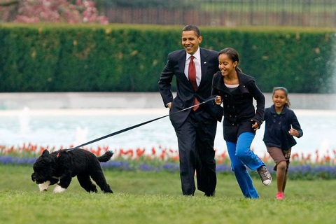 Gia đình Obama vĩnh biệt cún cưng bị ung thư - Ảnh 2. Gia đình Obama vĩnh biệt cún cưng bị ung thư - Ảnh 2.