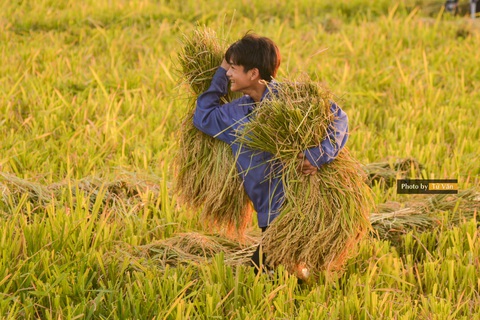 Sau COVID-19, có thể có thêm 9 triệu lao động là trẻ em - Ảnh 1. Sau COVID-19, có thể có thêm 9 triệu lao động là trẻ em - Ảnh 1.