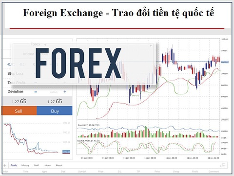 Công an Hà Nội vạch trần thủ đoạn của sàn giao dịch Forex - Ảnh 1. Công an Hà Nội vạch trần thủ đoạn của sàn giao dịch Forex - Ảnh 1.