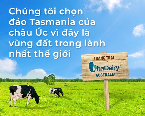 Sữa non tươi nhập khẩu 100% từ Tasmania - Úc - Ảnh 3. Sữa non tươi nhập khẩu 100% từ Tasmania - Úc - Ảnh 3.