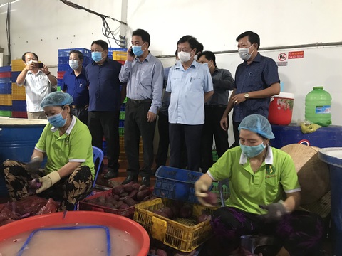 Bộ trưởng Lê Minh Hoan: ‘Chúng ta đang đánh cược hơn là làm kinh tế nông nghiệp’ - Ảnh 1. Bộ trưởng Lê Minh Hoan: ‘Chúng ta đang đánh cược hơn là làm kinh tế nông nghiệp’ - Ảnh 1.