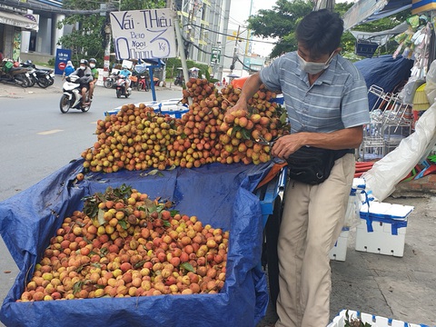 Đến lượt bơ, chôm chôm… chờ hỗ trợ - Ảnh 1. Đến lượt bơ, chôm chôm… chờ hỗ trợ - Ảnh 1.