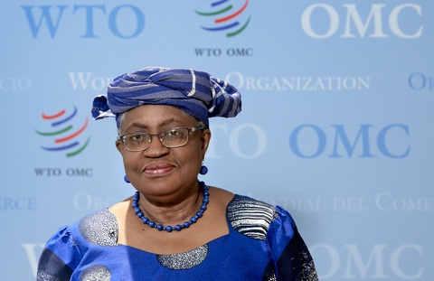 Tổng giám đốc WTO: Đã có tiến triển về bỏ bản quyền vắc xin COVID-19 - Ảnh 1. Tổng giám đốc WTO: Đã có tiến triển về bỏ bản quyền vắc xin COVID-19 - Ảnh 1.
