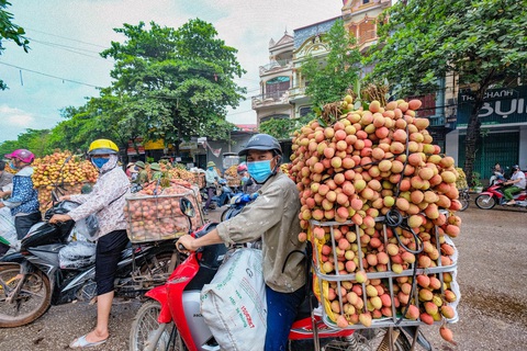 Hàng ngàn ‘áo xanh’ tình nguyện thu hoạch vải thiều giúp dân xuyên đêm - Ảnh 3. Hàng ngàn ‘áo xanh’ tình nguyện thu hoạch vải thiều giúp dân xuyên đêm - Ảnh 3.