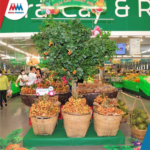 MM Mega Market đồng hành cùng Bắc Giang tiêu thụ hàng trăm tấn nông sản - Ảnh 1. MM Mega Market đồng hành cùng Bắc Giang tiêu thụ hàng trăm tấn nông sản - Ảnh 1.