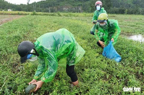 Khi người dân góp sức chống dịch - Ảnh 3. Khi người dân góp sức chống dịch - Ảnh 3.
