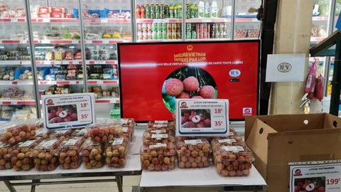 Vải thiều Thanh Hà lên máy bay đi Pháp, giá 500.000 đồng/kg vẫn đắt hàng - Ảnh 1. Vải thiều Thanh Hà lên máy bay đi Pháp, giá 500.000 đồng/kg vẫn đắt hàng - Ảnh 1.