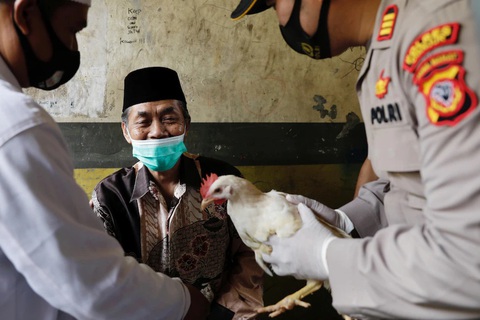 Indonesia tăng gấp đôi số ca COVID-19 chỉ trong một tuần - Ảnh 2. Indonesia tăng gấp đôi số ca COVID-19 chỉ trong một tuần - Ảnh 2.