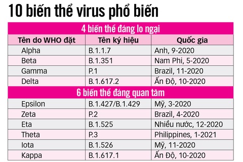 Miễn dịch cộng đồng: Mục tiêu rượt đuổi - Ảnh 3. Miễn dịch cộng đồng: Mục tiêu rượt đuổi - Ảnh 3.