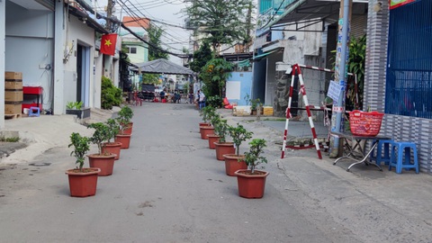 TP.HCM: 12 hộ dân tại điểm phong tỏa thi chăm sóc cây táo - Ảnh 4. TP.HCM: 12 hộ dân tại điểm phong tỏa thi chăm sóc cây táo - Ảnh 4.