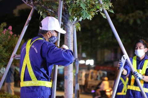 Hà Nội bứng dời hàng phong lá đỏ trong đêm - Ảnh 2. Hà Nội bứng dời hàng phong lá đỏ trong đêm - Ảnh 2.