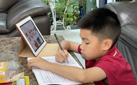 Bùng nổ học hè online: coi chừng! - Ảnh 1. Bùng nổ học hè online: coi chừng! - Ảnh 1.