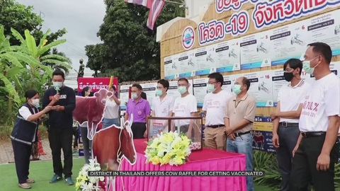 Tặng bò, gà, đất xây nhà... để người dân đi tiêm vắc xin - Ảnh 1. Tặng bò, gà, đất xây nhà... để người dân đi tiêm vắc xin - Ảnh 1.