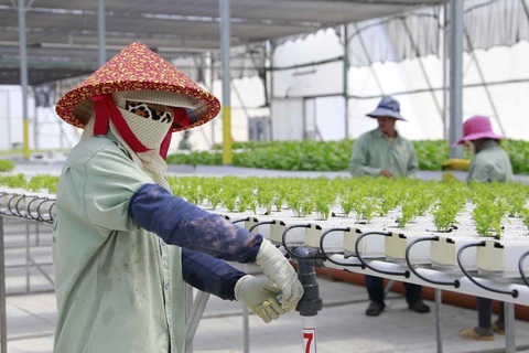 Đông Nam Á học hỏi công nghệ nông nghiệp của Israel - Ảnh 1. Đông Nam Á học hỏi công nghệ nông nghiệp của Israel - Ảnh 1.
