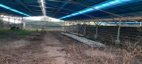 Trang trại nông nghiệp nhưng chỉ bán điện - Ảnh 1. Trang trại nông nghiệp nhưng chỉ bán điện - Ảnh 1.