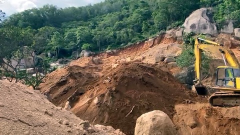 Khởi tố vụ án sau khi gần 2ha rừng phòng hộ trên núi Thị Vải bị phá nát - Ảnh 2. Khởi tố vụ án sau khi gần 2ha rừng phòng hộ trên núi Thị Vải bị phá nát - Ảnh 2.