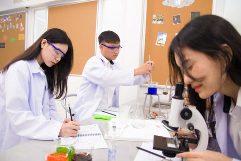 Giữa cơn đại dịch, đầu tư giáo dục cho con cũng cần đặt lên bàn cân - Ảnh 3. Giữa cơn đại dịch, đầu tư giáo dục cho con cũng cần đặt lên bàn cân - Ảnh 3.