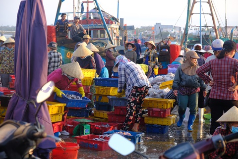 Tự ý rời khu vực phong tỏa, 43 ngư dân được đưa đi cách ly tập trung - Ảnh 1. Tự ý rời khu vực phong tỏa, 43 ngư dân được đưa đi cách ly tập trung - Ảnh 1.
