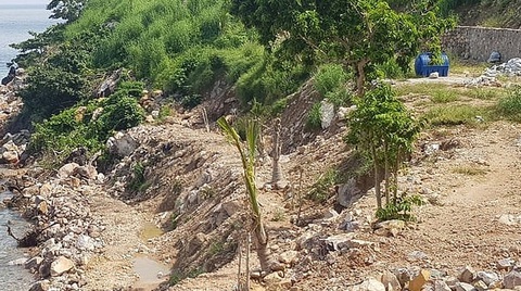 Ban quản lý rừng Kiên Giang: Sai phạm hơn 6,5 tỉ đồng, nộp lại gần 5 tỉ - Ảnh 1. Ban quản lý rừng Kiên Giang: Sai phạm hơn 6,5 tỉ đồng, nộp lại gần 5 tỉ - Ảnh 1.