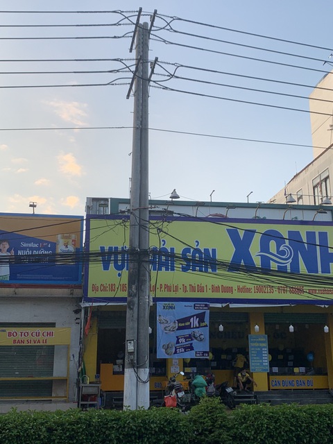 Đẩy nhanh tiến độ xử lý mạng nhện trên cao tại tỉnh Bình Dương - Ảnh 2. Đẩy nhanh tiến độ xử lý mạng nhện trên cao tại tỉnh Bình Dương - Ảnh 2.