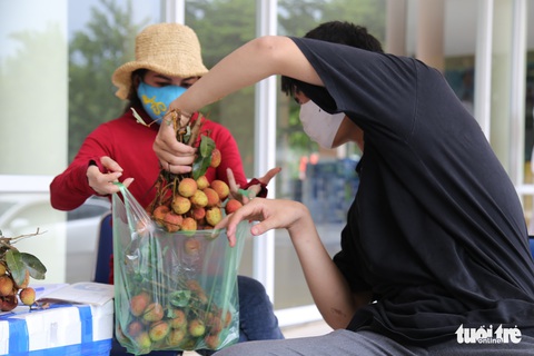 Người Đà Nẵng mua cả xe hơi vải thiều giúp nông dân Bắc Giang - Ảnh 5. Người Đà Nẵng mua cả xe hơi vải thiều giúp nông dân Bắc Giang - Ảnh 5.