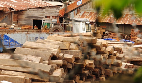 Cảnh cáo nguyên cục trưởng thi hành án để xảy ra vụ tráo gỗ tang vật - Ảnh 1. Cảnh cáo nguyên cục trưởng thi hành án để xảy ra vụ tráo gỗ tang vật - Ảnh 1.