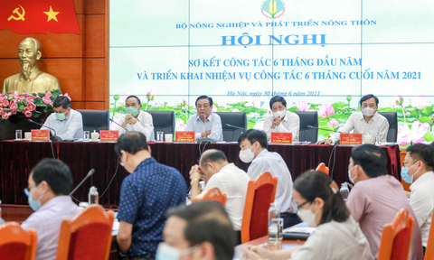 Bất chấp COVID-19, tăng trưởng nông nghiệp đạt đỉnh sau 10 năm - Ảnh 1. Bất chấp COVID-19, tăng trưởng nông nghiệp đạt đỉnh sau 10 năm - Ảnh 1.