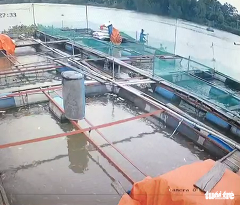 Người đàn ông bị điện giật chết khi chài cá ở sông Cái Cối - Ảnh 2. Người đàn ông bị điện giật chết khi chài cá ở sông Cái Cối - Ảnh 2.