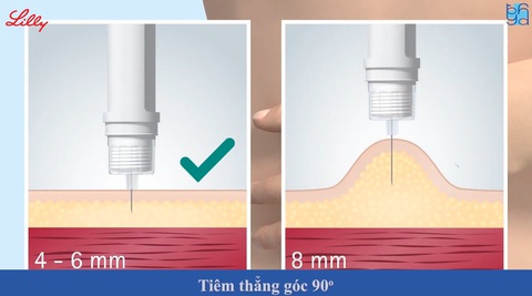 Hướng dẫn người bệnh đái tháo đường sử dụng bút tiêm Insulin - Ảnh 5. Hướng dẫn người bệnh đái tháo đường sử dụng bút tiêm Insulin - Ảnh 5.